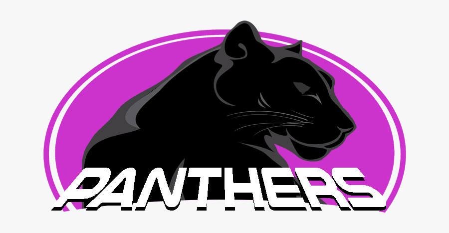 Cougar, Transparent Clipart