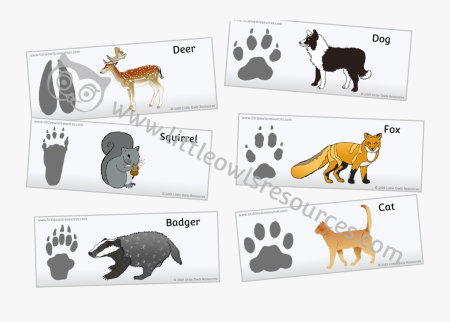 Animal Footprints In The Snow, Transparent Clipart