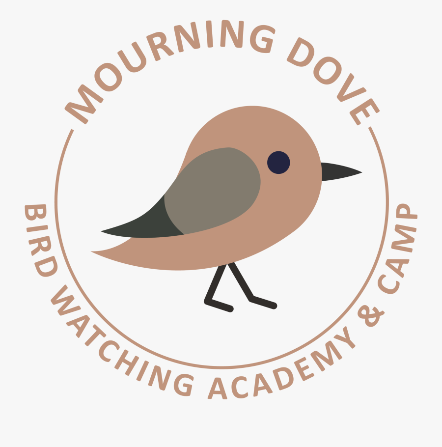 Twitter Icon, Transparent Clipart