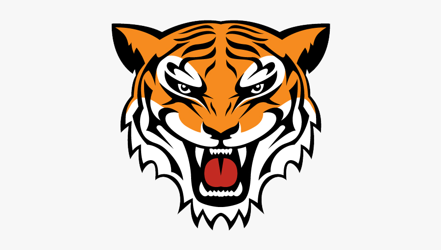 Simple Tiger Face Drawing, Transparent Clipart