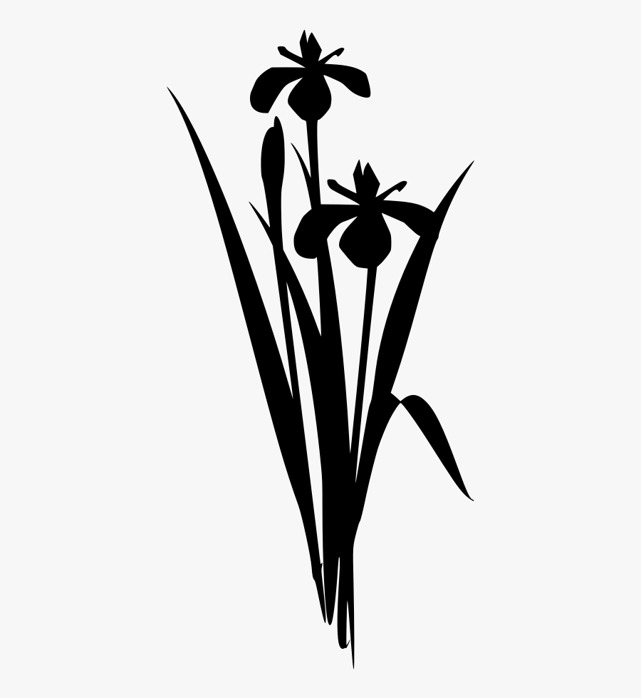 Flower, Transparent Clipart