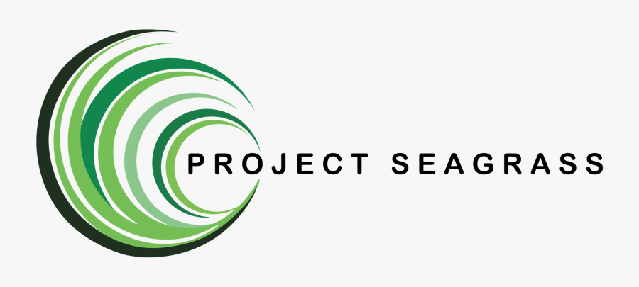 Circle, Transparent Clipart