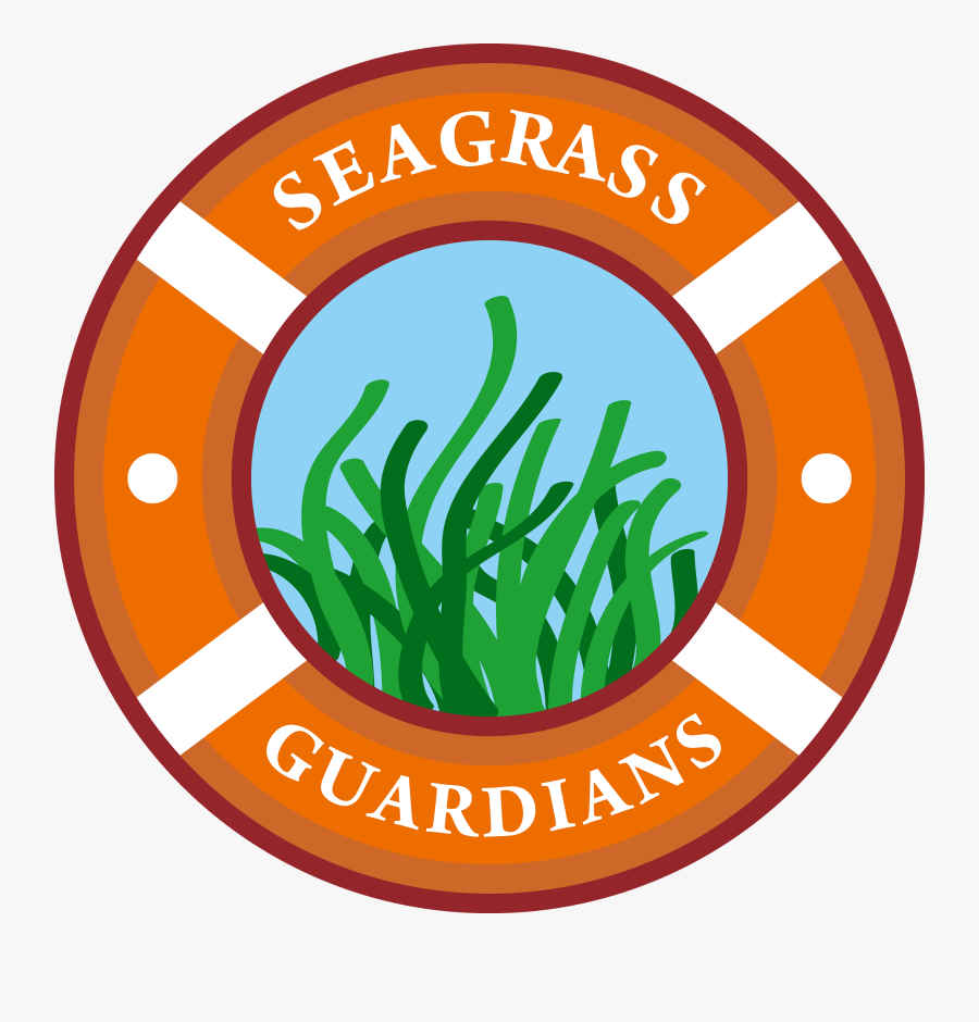 Circle, Transparent Clipart