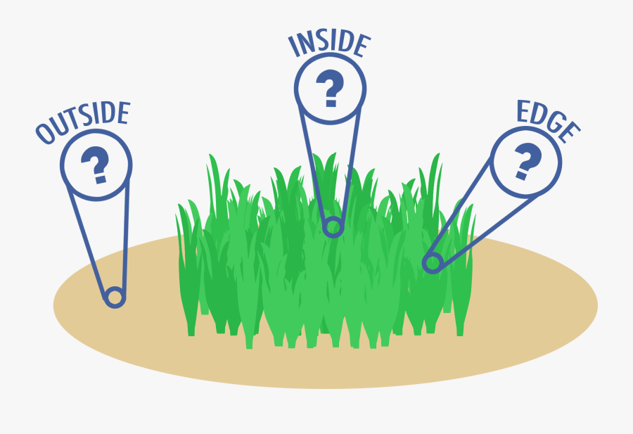 Edge Effects The Seagrass - Edge Effect Seagrass, Transparent Clipart