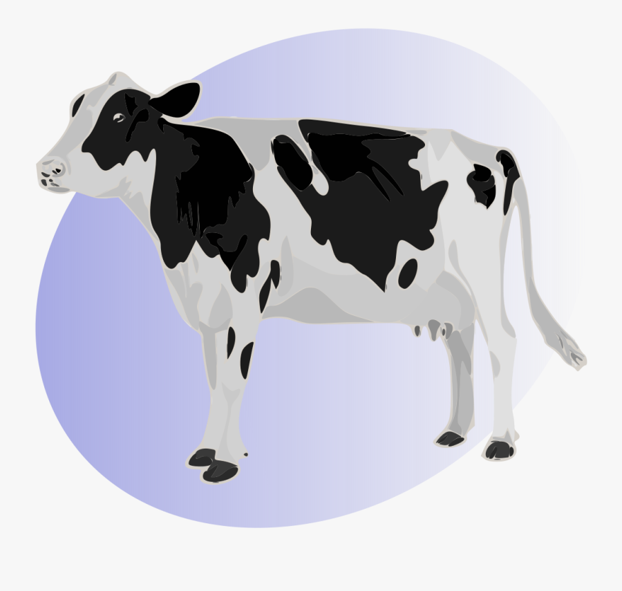 Cow Hd Images Download, Transparent Clipart