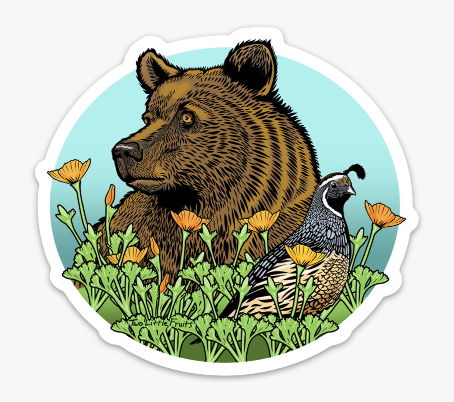 Grizzly Bear, Transparent Clipart