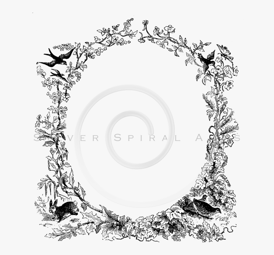 Transparent Quail Clipart Black And White - Circle, Transparent Clipart