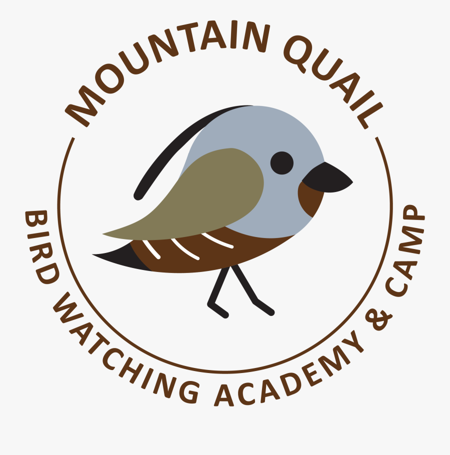 Mountain Quail Picture - Copyright Promotions Licensing Group, Transparent Clipart
