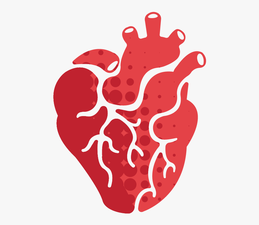 Follow Your Heart Cardiac Anatomy Heart Illustration, Transparent Clipart