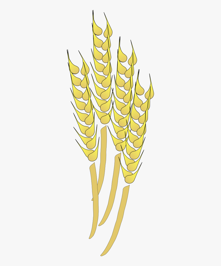Wheat - Wheat Clip Art, Transparent Clipart