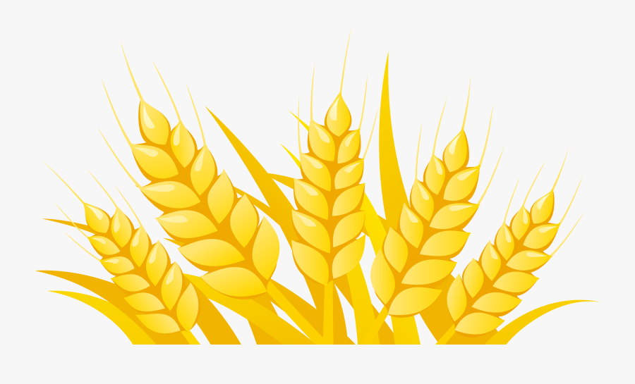 Wheat Clipart Vector - Sonbaharda Nesneleri, Transparent Clipart