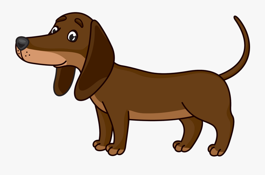Alpine Dachsbracke, Transparent Clipart