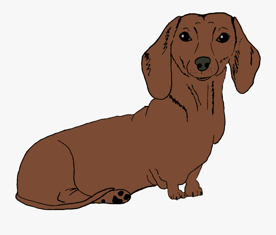 Dachshund Png - Transparent Cartoon Dachshund, Transparent Clipart