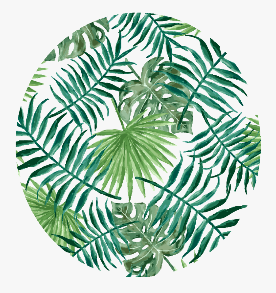 Palm Leaf Pattern Transparent, Transparent Clipart