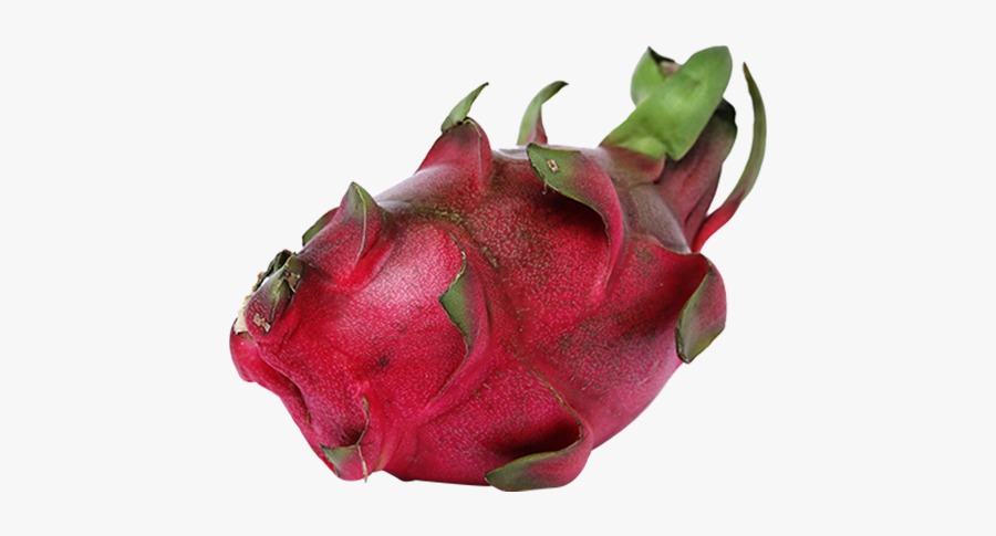 Exotic Fruits Png, Transparent Clipart