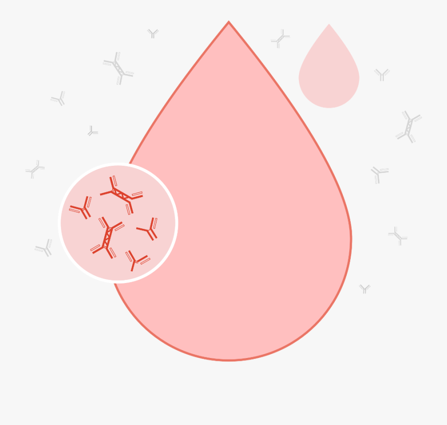 Circle, Transparent Clipart