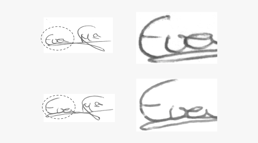 Sketch, Transparent Clipart