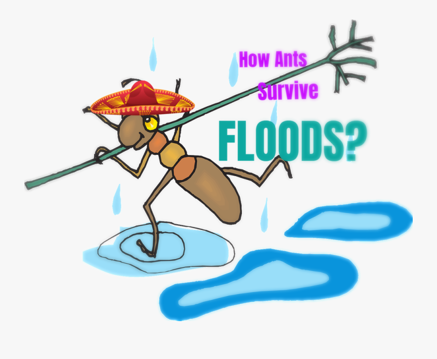 蚁 族, Transparent Clipart