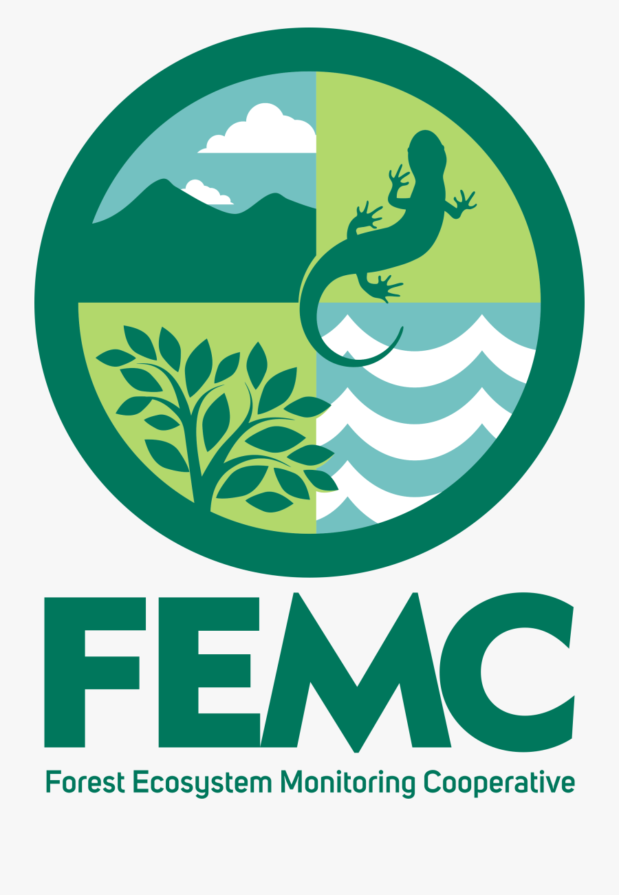 Tree, Transparent Clipart