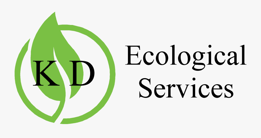 Logo - Graphic Design, Transparent Clipart