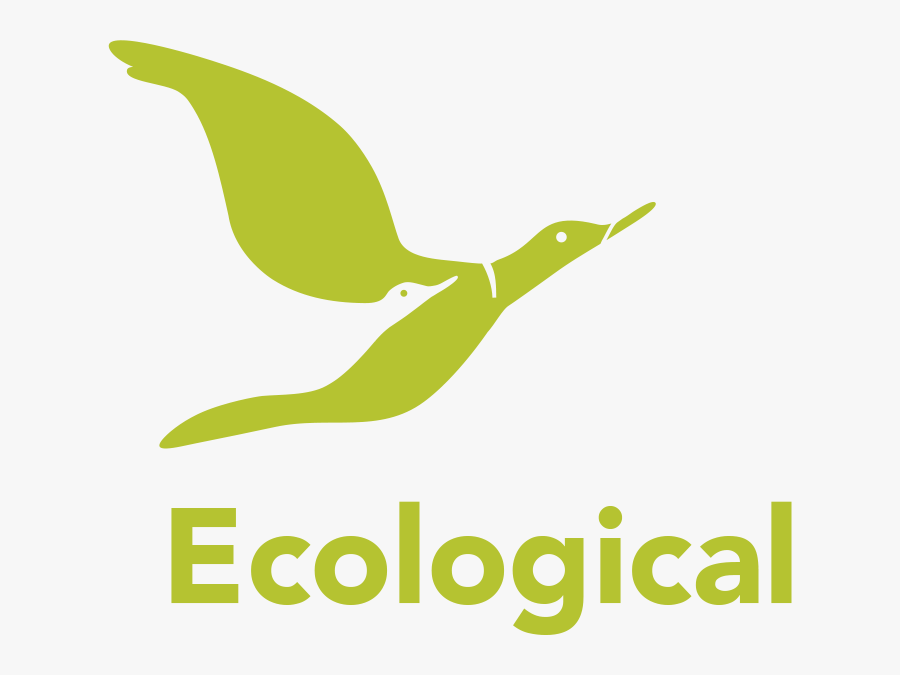 Ecological Dimension Geds - West Walsall Eact Academy, Transparent Clipart