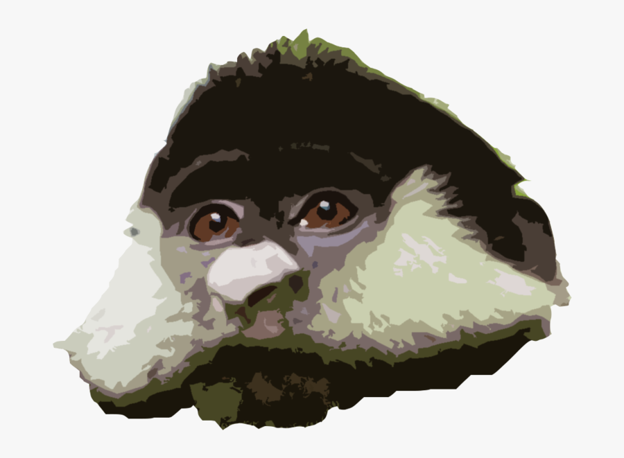 Rtface - Monkey, Transparent Clipart