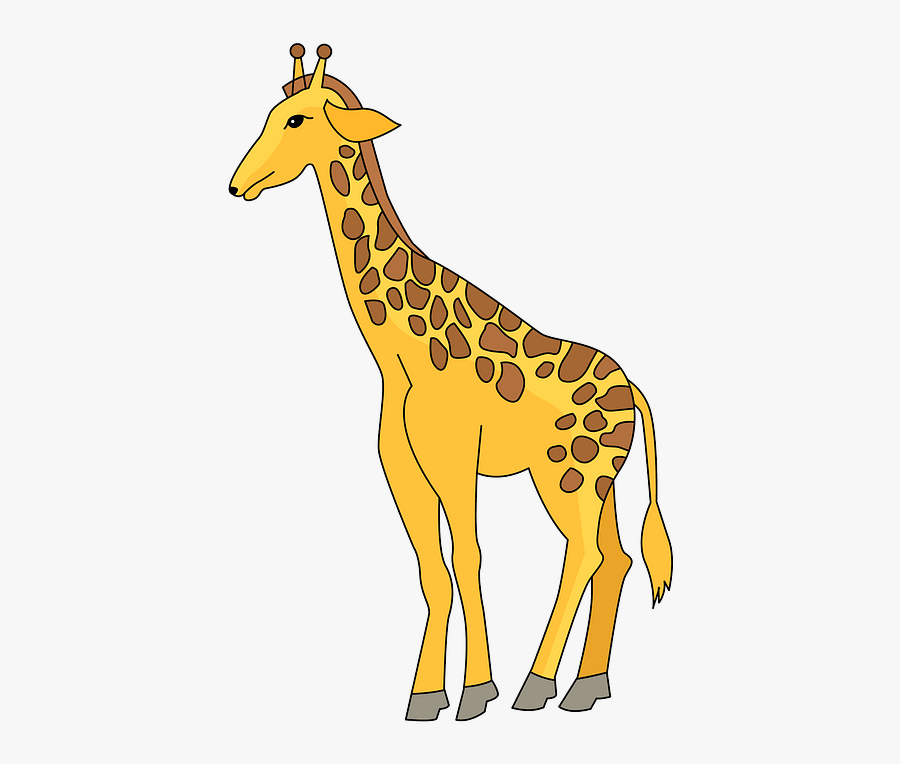Giraffe, Transparent Clipart