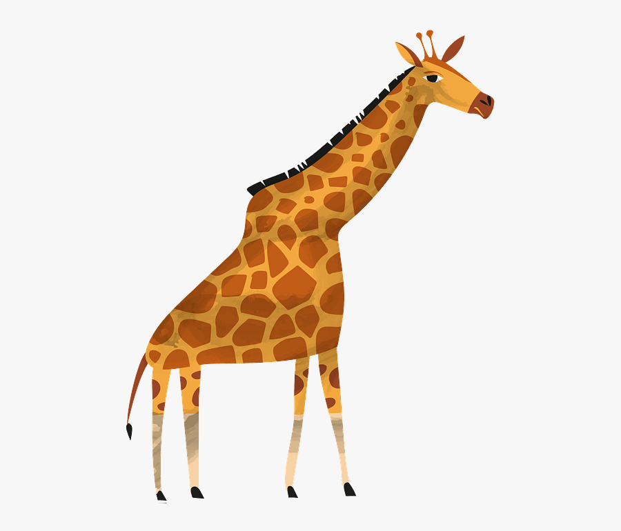 Giraffe, Transparent Clipart