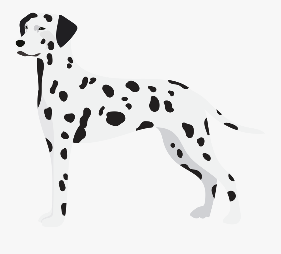 Dalmatian Clipart , Png Download - Dalmatian, Transparent Clipart