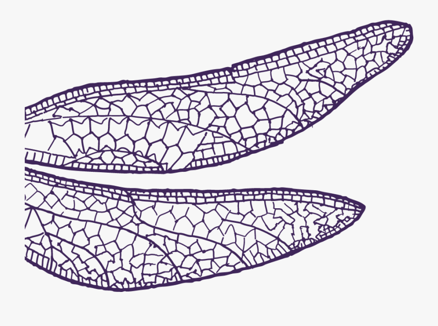 Line Art, Transparent Clipart