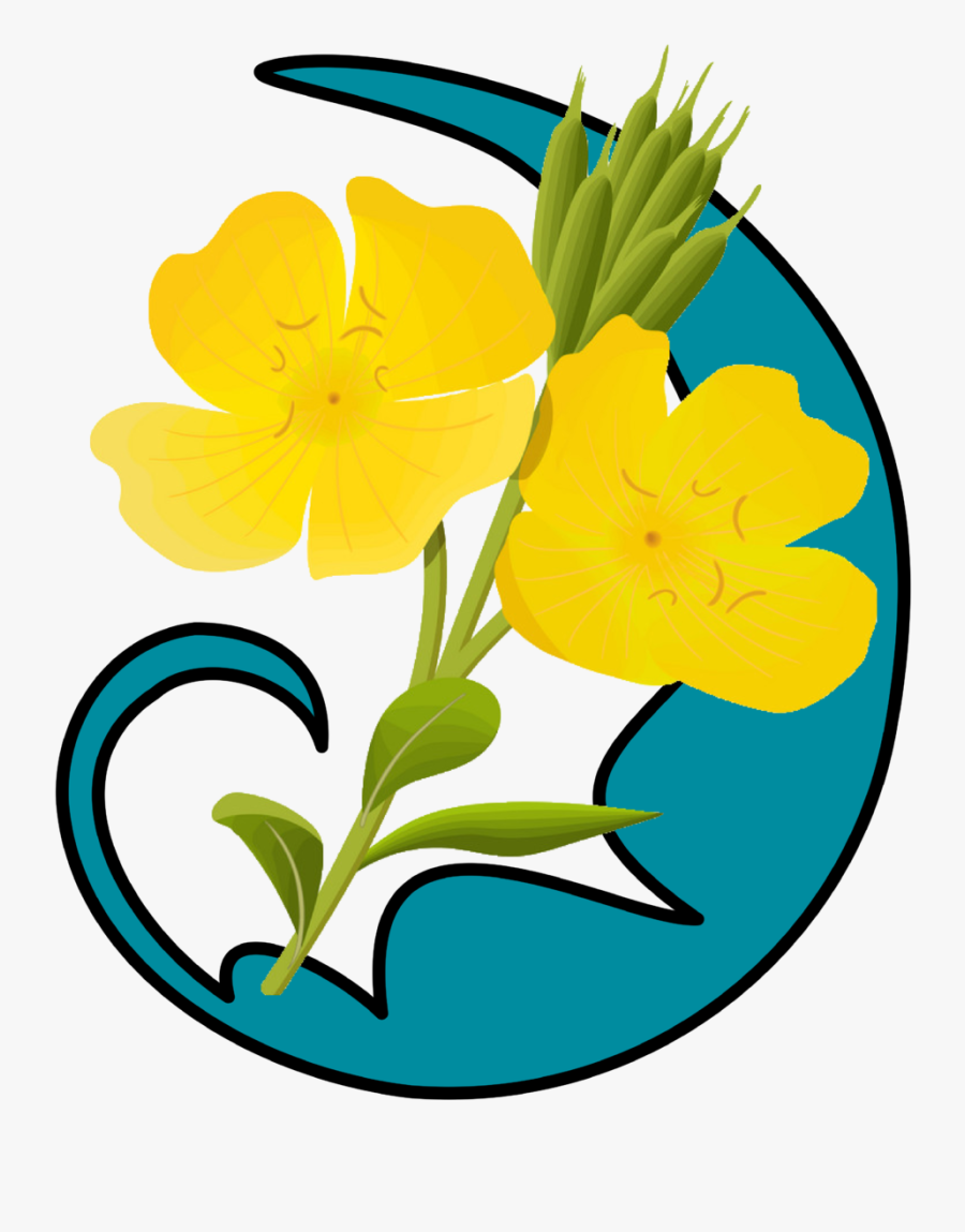 Primrose Free Vector, Transparent Clipart
