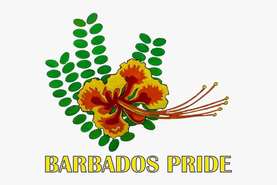Barbados Pride Cricket Logo, Transparent Clipart