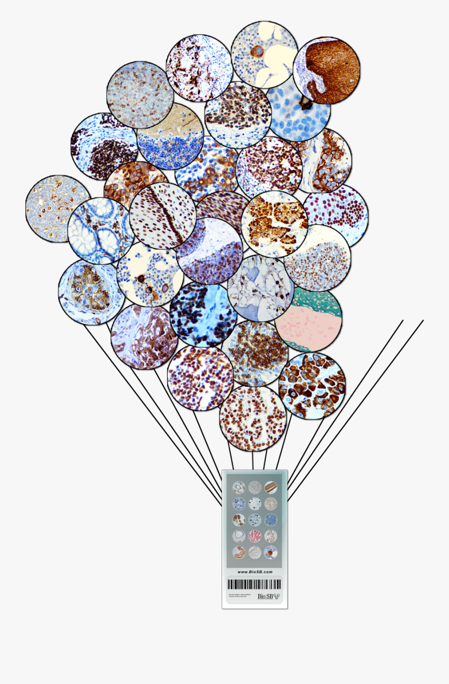 Art, Transparent Clipart