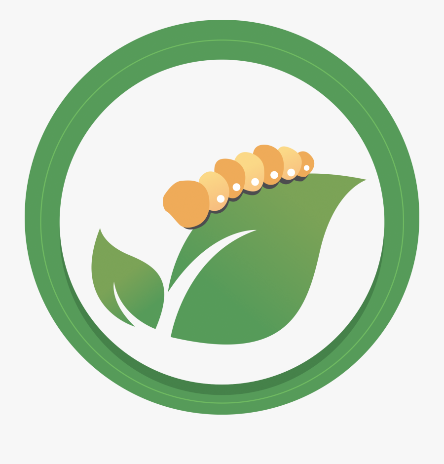 Down Steal This Album, Transparent Clipart