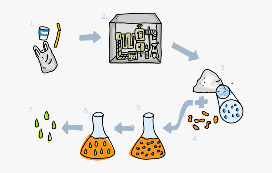 Biocellection, Transparent Clipart