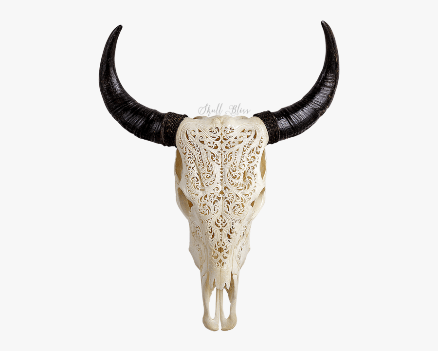 Cow Skull Png, Transparent Clipart