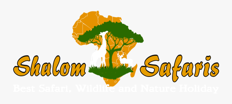Shalom Safaris Youll Be - Tree, Transparent Clipart