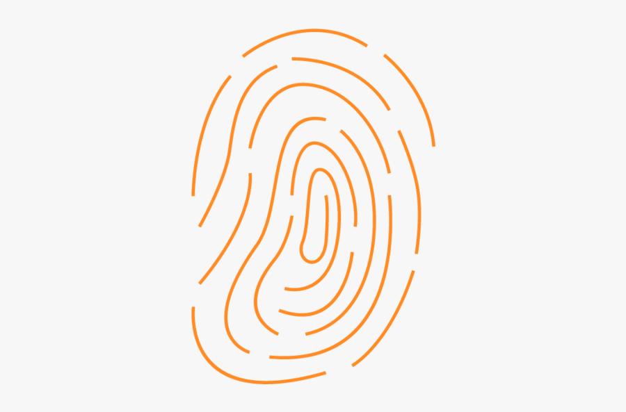 Circle, Transparent Clipart