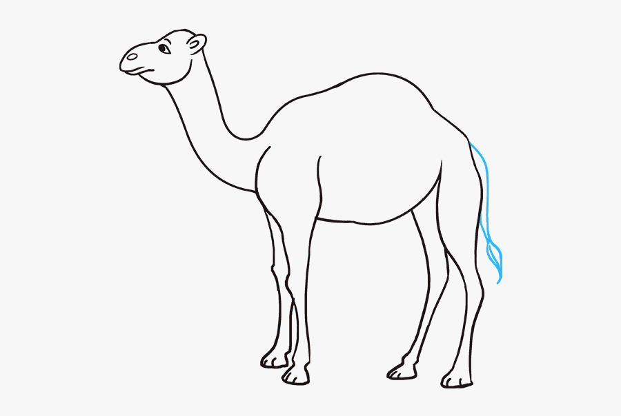 How To Draw Camel - Easy Drawing Of Camel, Transparent Clipart