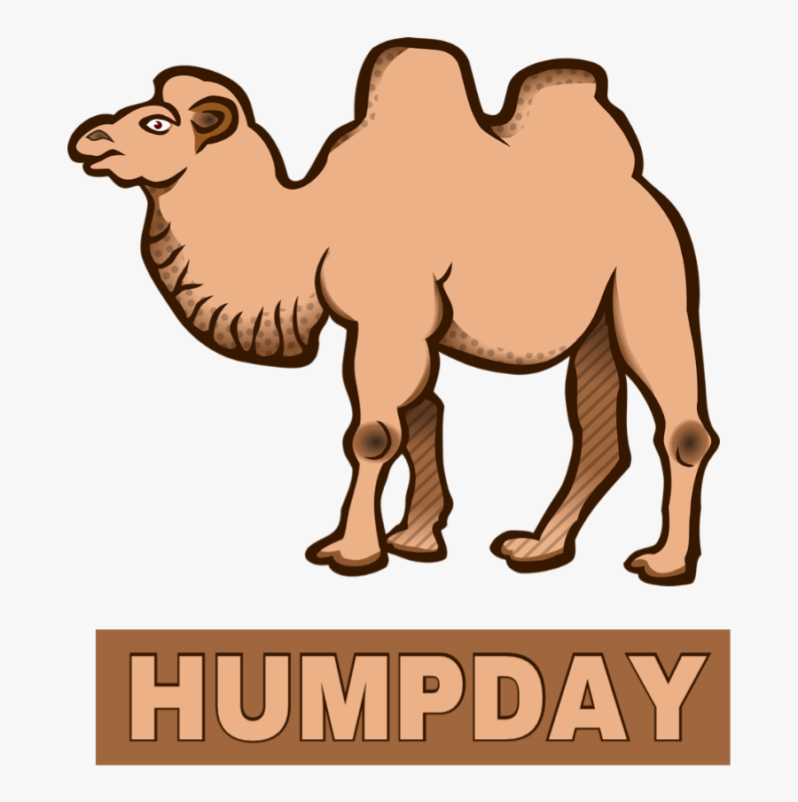 #ftestickers #camel #wednesday #humpday#freetoedit - Picsart Camel, Transparent Clipart