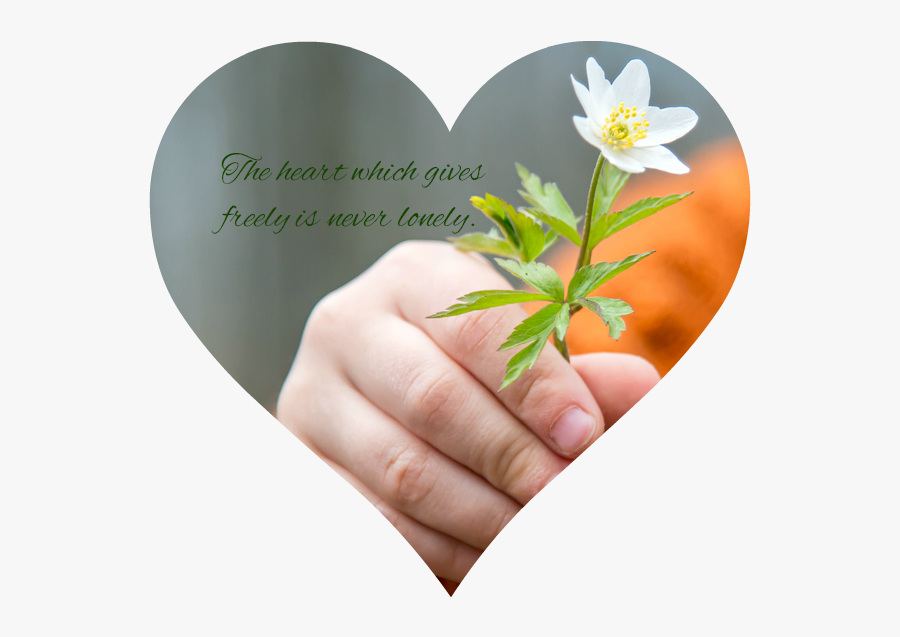 She Suggests So Many Fabulous And Doable Service Programs - Give You A Flower, Transparent Clipart