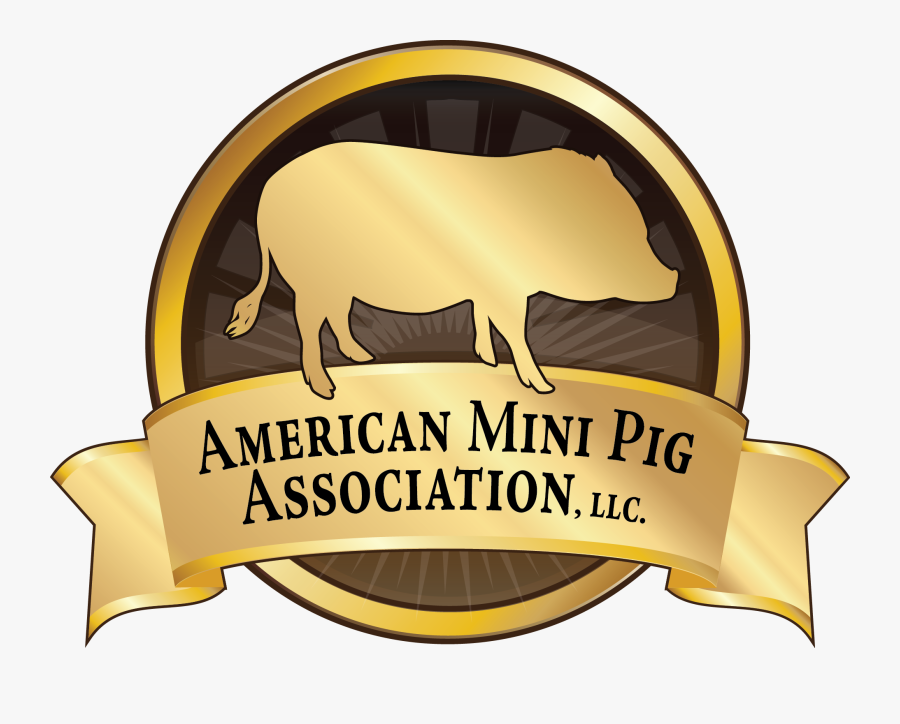 Pigs Fly Clip Art, Transparent Clipart