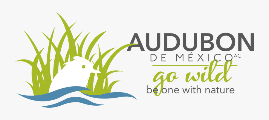 Audubon De Mexico - Estratégia Saúde Da Família, Transparent Clipart