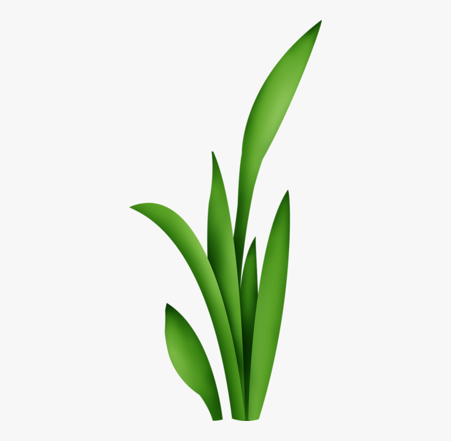 ใบไม้ รูป ดอกไม้ การ์ตูน, Transparent Clipart