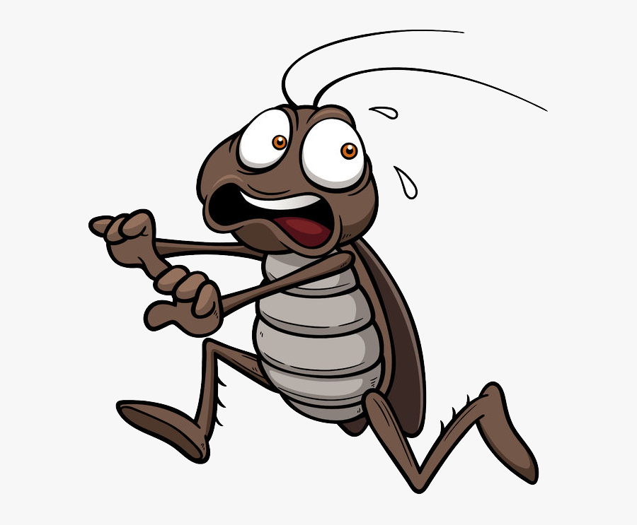 Odorless Non-staining Kills Roaches At The Source Eco - Scared Cockroach, Transparent Clipart