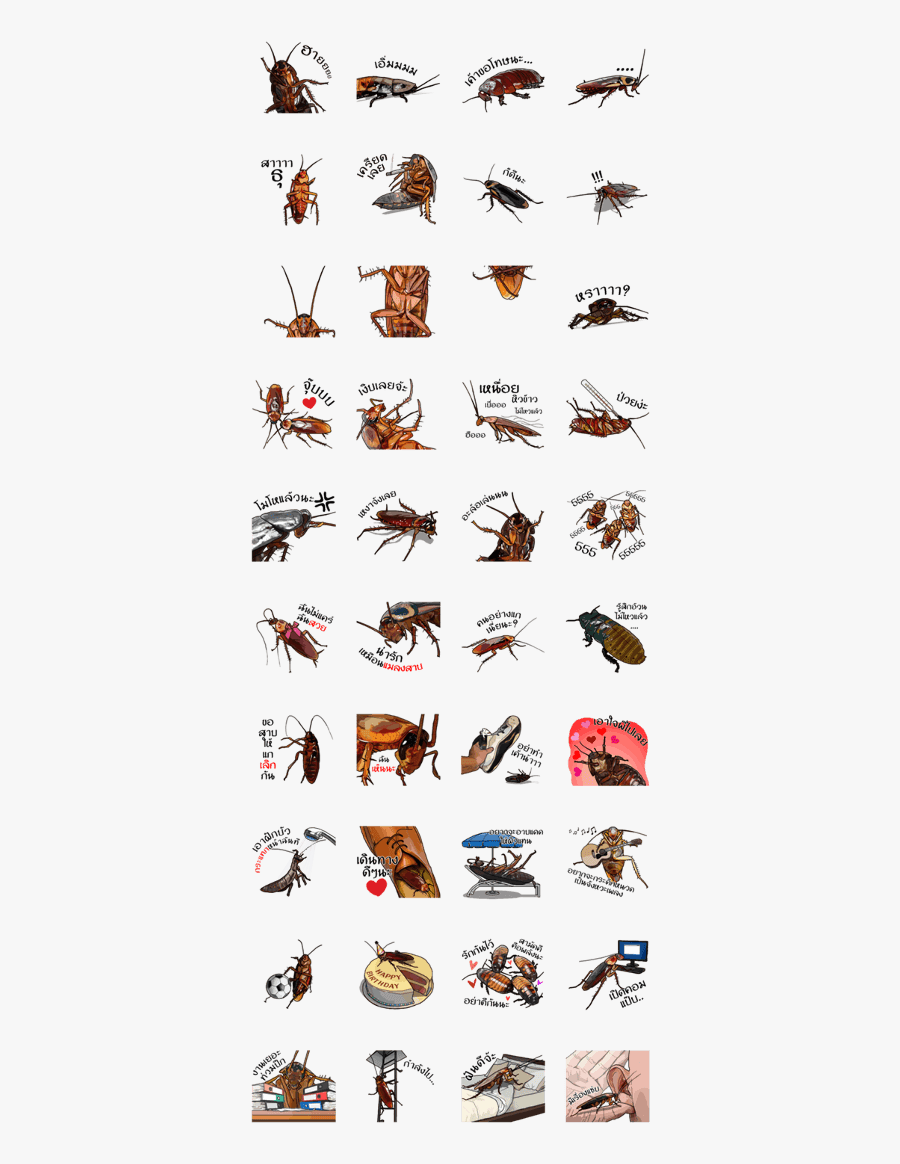 Amazing Cockroach - Stickers Caro Y Felipe Png, Transparent Clipart