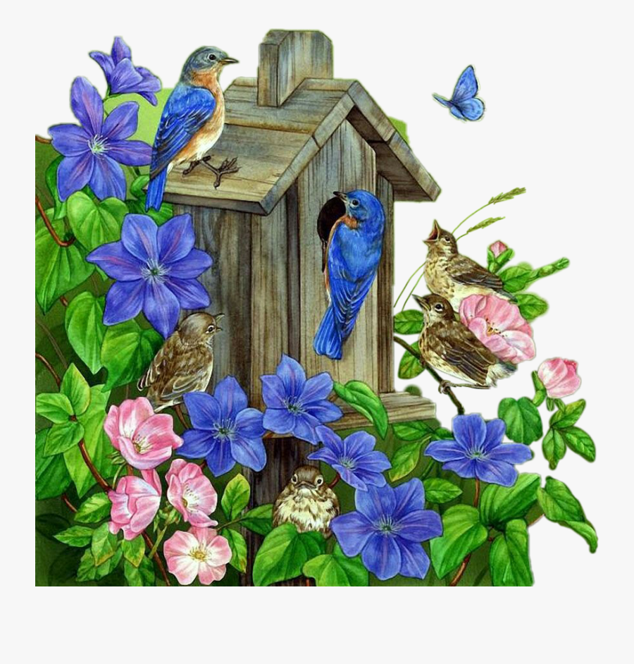 #birdhouses #ricardoyusra @ricardo144 - Kuş Tabloları, Transparent Clipart
