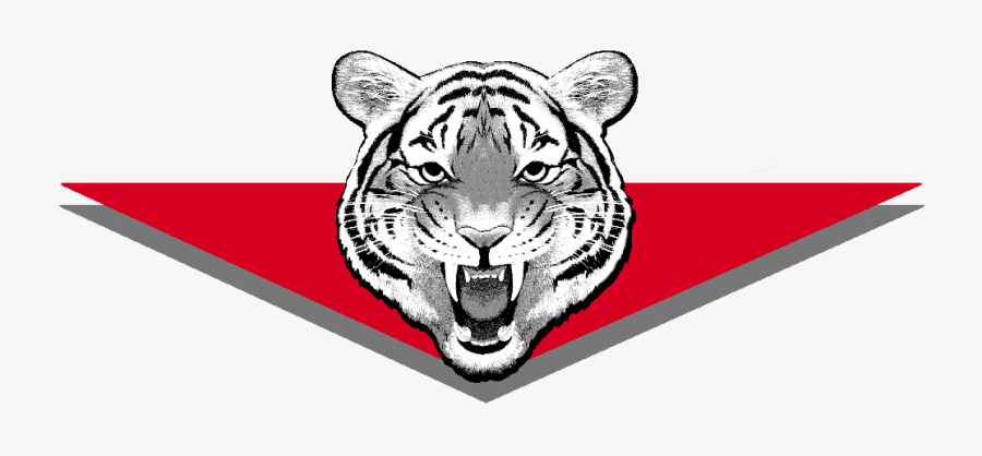 Huron Tigers, Transparent Clipart