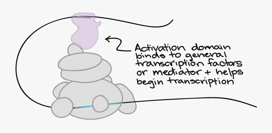 Illustration, Transparent Clipart