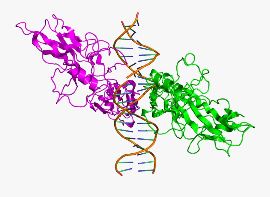 2ram - Graphic Design, Transparent Clipart